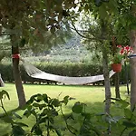 Oliveto Di Teodora