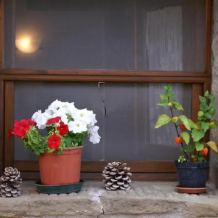 Oliveto Di Teodora トゥオーロ・スル・トラジメーノ