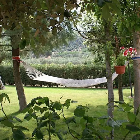 Oliveto Di Teodora