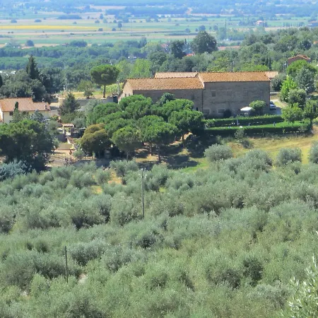 Oliveto Di Teodora アパートホテル トゥオーロ・スル・トラジメーノ