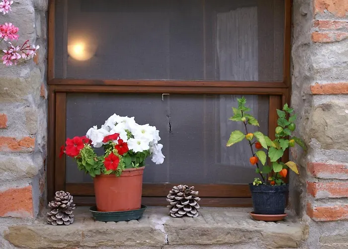 Oliveto Di Teodora Tuoro sul Trasimeno